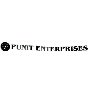 Punit Enterprises logo