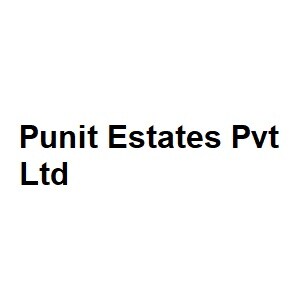 Punit Estates Pvt Ltd Developer Logo