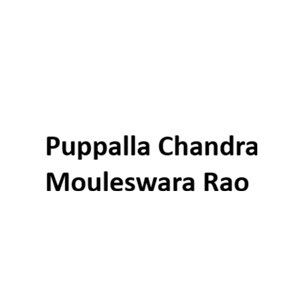 Puppalla Chandra Mouleswara Rao Developer Logo
