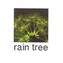 Raintree Developers LLP