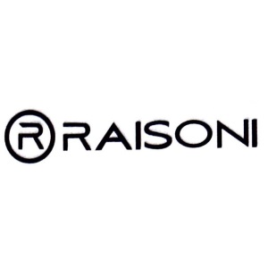 Raisoni Properties
