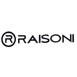 Raisoni Properties Logo