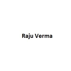 Raju Verma developer logo