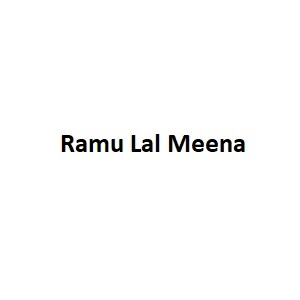 Ramu Lal Meena Developer Logo