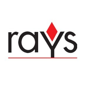 Rays EPC Pvt Ltd Developer Logo