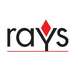 Rays EPC Pvt Ltd