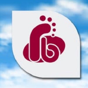 RB Foundation Pvt Ltd logo