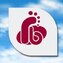 RB Foundation Pvt Ltd