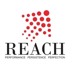 Reach Group logo