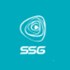 Sai Srushti Group Developer Logo