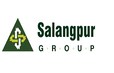 Salangpur Group Developer Logo