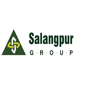 Salangpur Group developer logo