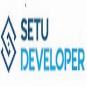 Setu Developer Logo