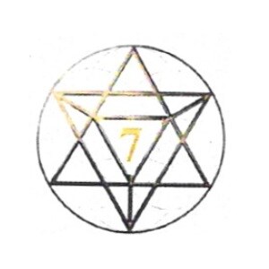 Seven Square Properties developer logo