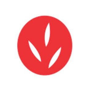 Shagun Reals logo