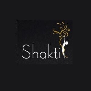 Shakti Developer Developer Logo