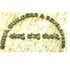 Shiva Builders Developer Logo