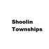 Shoolin Townships Developer Logo