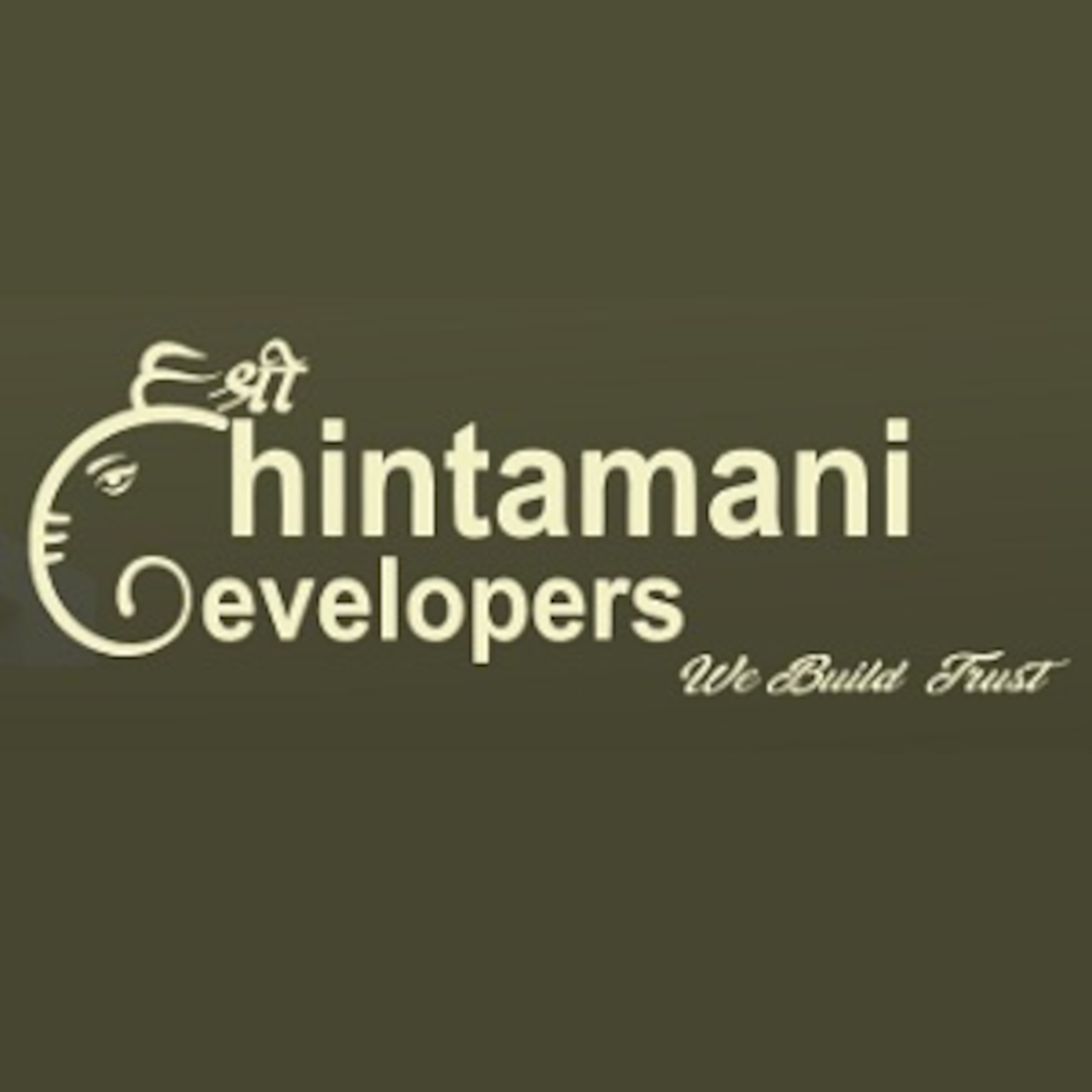 Developer Logo