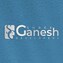 Shree Ganesh Developers Pune City