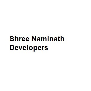 Shree Naminath Developers developer logo