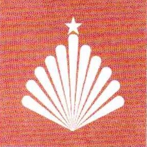 Shree Sai Miracle Group developer logo