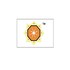 Shree Shakti Developers Developer Logo