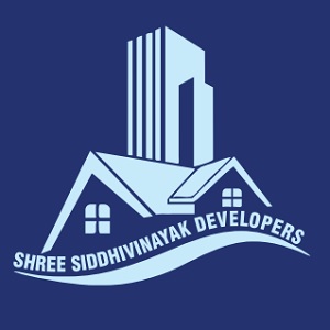 Developer Logo