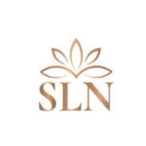 Shri Laxmi Narayan Properties developer logo