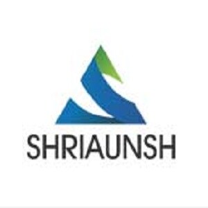 Shriaunsh Erectors Pvt Ltd logo