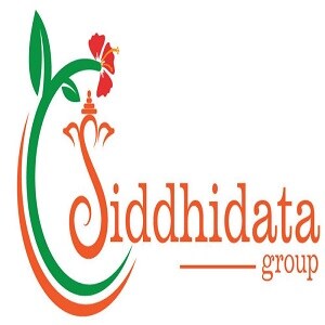 Siddhidata Group Developer Logo