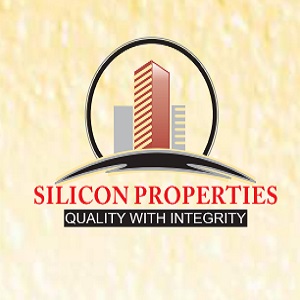 Silicon Properties