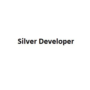Silver Developer Logo