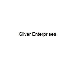 Silver Enterprises developer logo