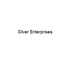 Silver Enterprises Developer Logo