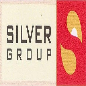 Silver Group Developer Logo