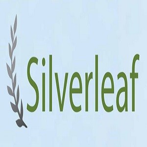 Silverleaf Constructions Logo