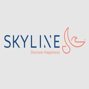 Skyline Construction