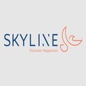 Skyline Construction Logo