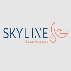 Skyline Construction logo