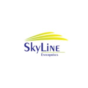 Skyline Enterprises logo