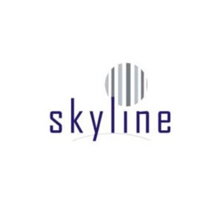 Skyline Group NCR