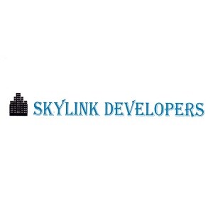 Skylink Developers Developer Logo