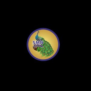 SMN Project logo