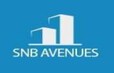 SNB Avenues Developer Logo