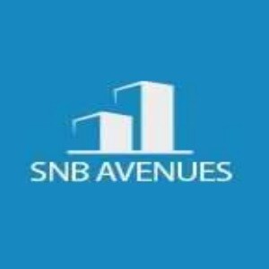 SNB Avenues logo