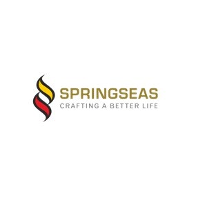 Springseas Infrastructure India Pvt Ltd Logo
