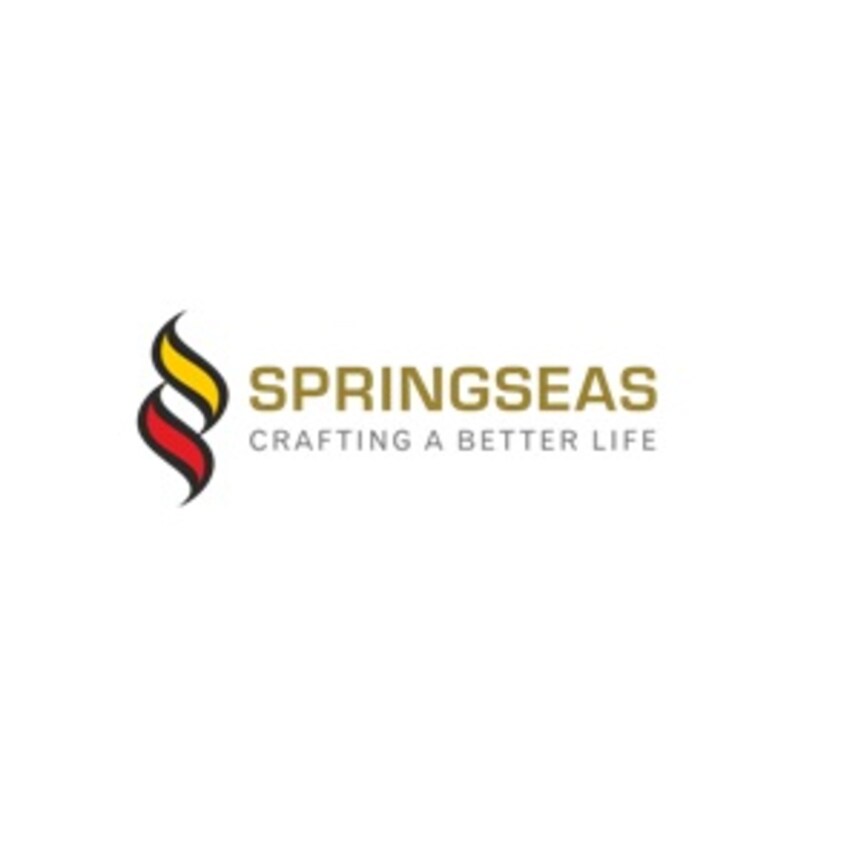 Springseas Infrastructure India Pvt Ltd