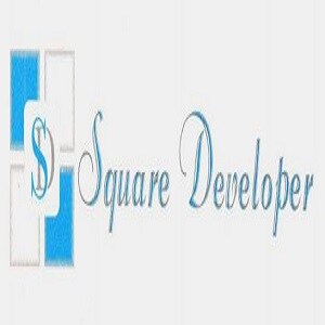 Square Developer logo