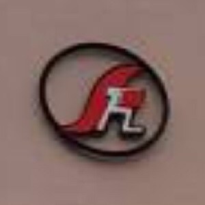 Sri Ram Homes developer logo